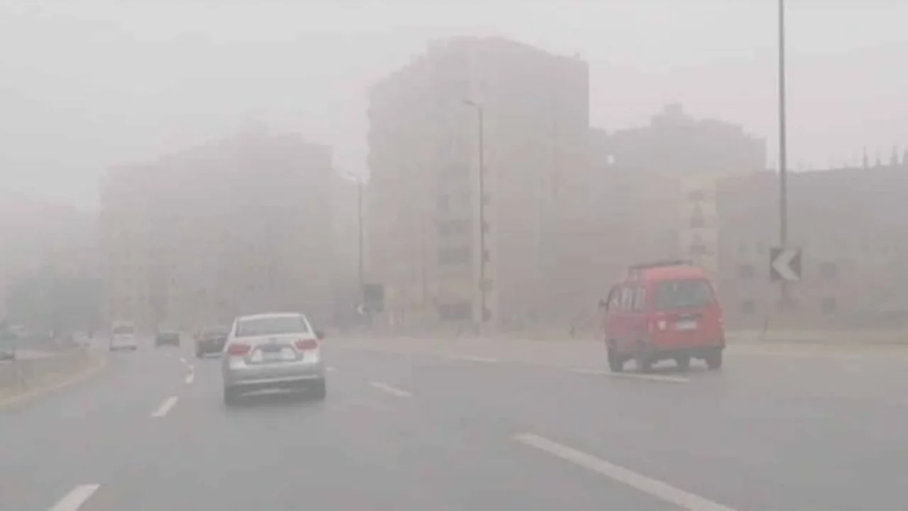 تأثير موجة الصقيع والشبورة المائية على استقرار حالة الطقس والمزروعات اليوم